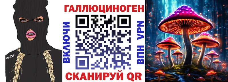 Купить где  Трёхгорный  Псилоцибиновые грибы прущие грибы 